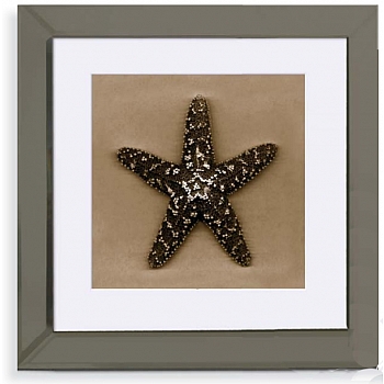 Innova 30x30cm Bronze Starfish 1 FP0664