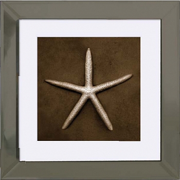 Innova 30x30cm Bronze Starfish 2 FP0665