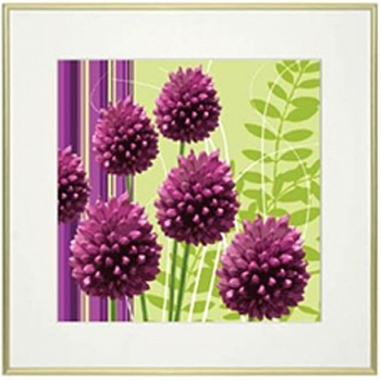 Innova 49x49cm Gold Framed Graphic Flower 2 FP0052