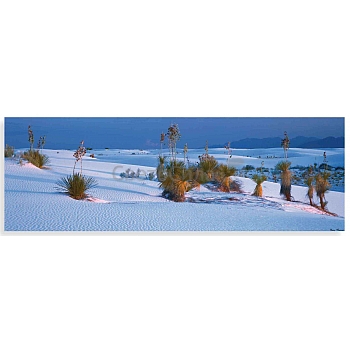 Innova FP04028 Glass Art White sands, new Mexico 40x120cm (3)