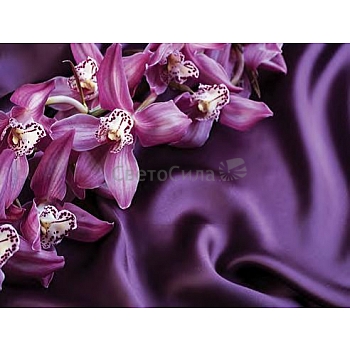 Innova FP02839 Glass Art Violet Silk 60x80cm (3)