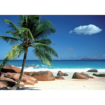 Innova FP04053    Praslin Beach Seychelles 50x70cm (6)