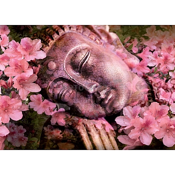 Innova FP04050    Sleeping Buddha 50x70cm (6)