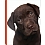 Innova Q5903686 / 200  10*15 Slip-in Pet Cuties (12)