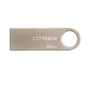 - Kingston 08 Gb DT SE9H (10)