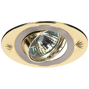 KL21 А SN/G Светильник ЭРА литой пов. глаз MR16,12V, 50W сатин никель/золото (100/1400)