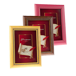 Image Art 5028-8 classic 21x30 (12/24/480)