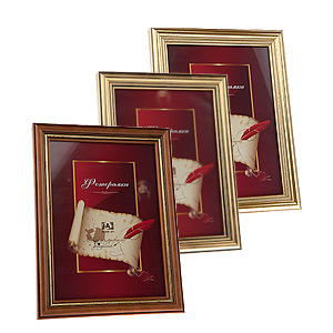 Image Art 5019-8 classic 21x30 (12/24/480)