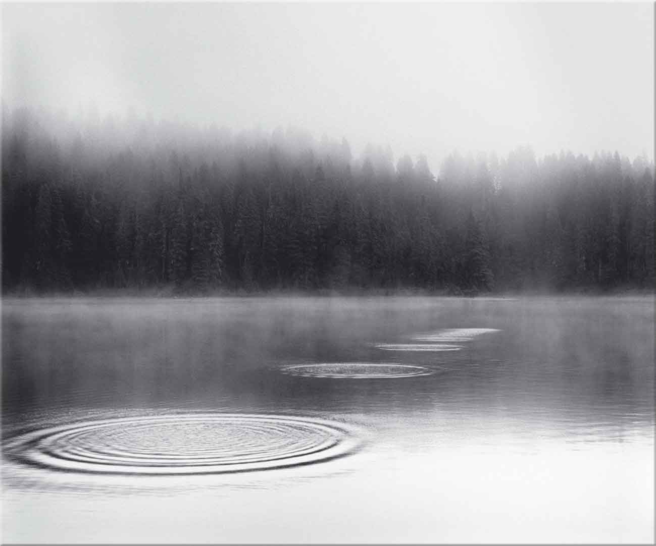 100x120cm Ripples on Lake FP1079