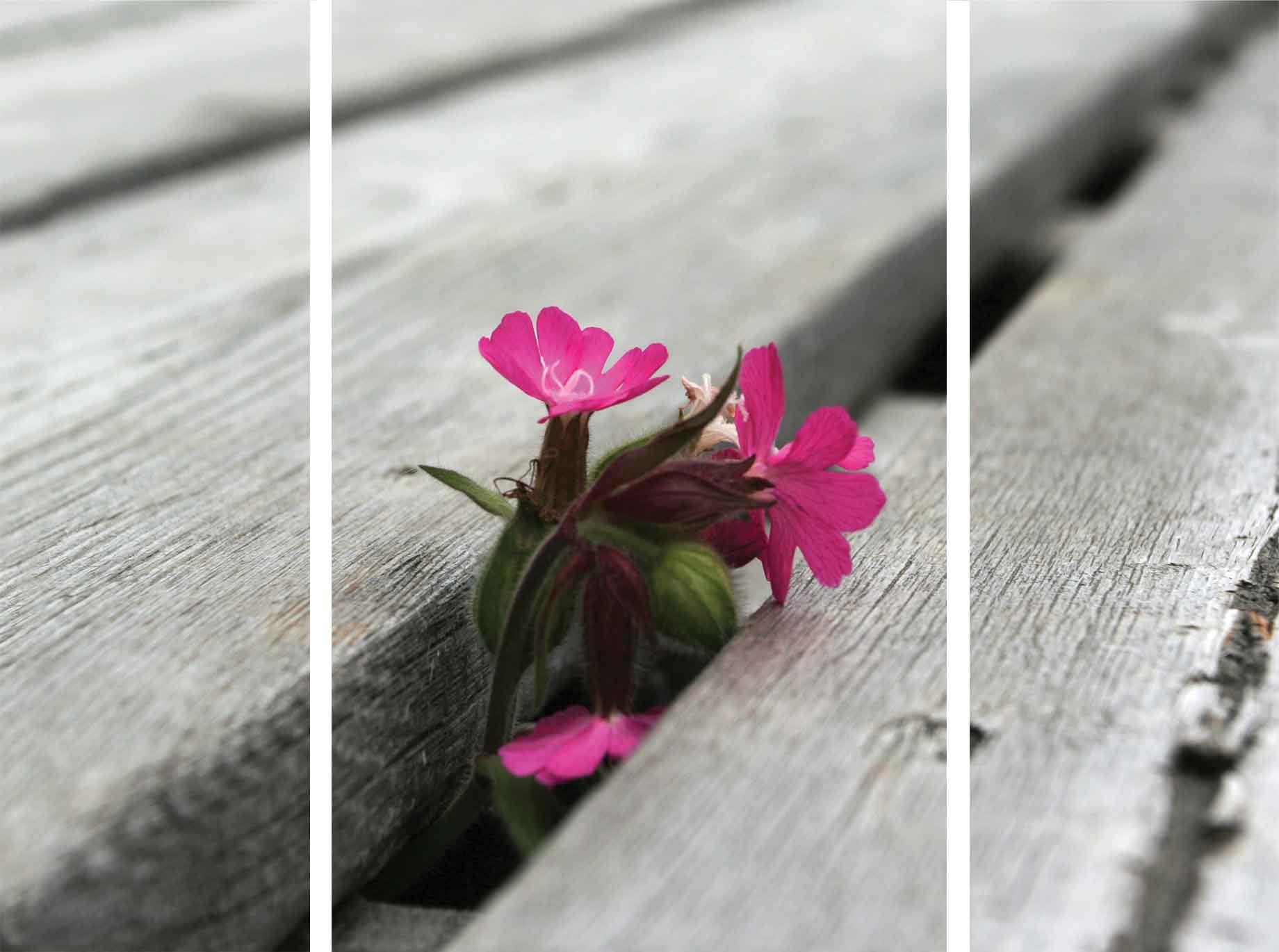 1х60х90cm2x30x90cm Blossom boards FP0868