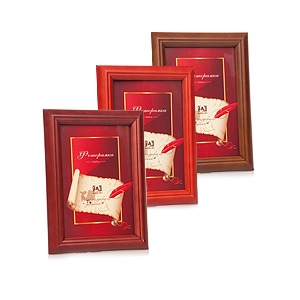 Image Art 5009-8 classic 21x30 (12/24/432)