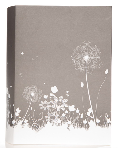 240107 IA -240PP Цветы 10*15 (6) Библиотека 2х120 фото