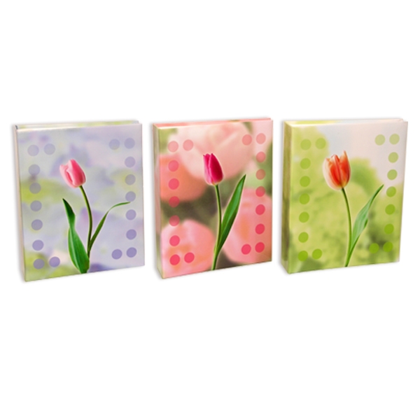 EA LM-4R100 (8762) 10x15см, Beautiful flower