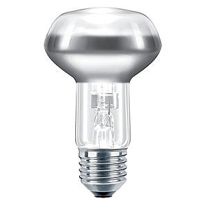 252224 Philips EcoClassic30 42W E27 NR63 30D FR (10)