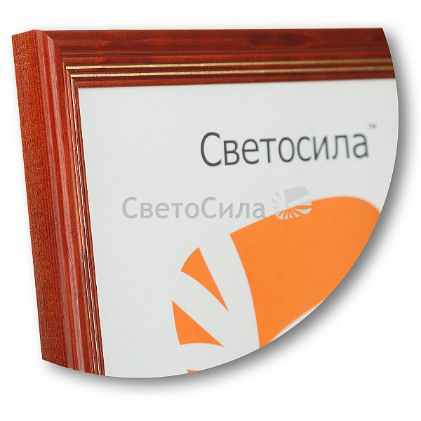 Сосна Светосила