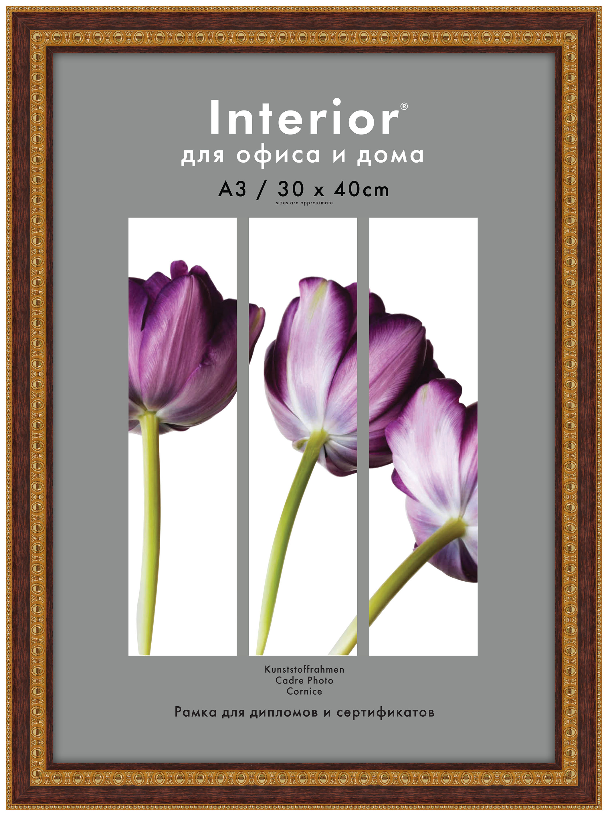 Interior 315G-12 30х40 пластик, кар.береза с двумя зол.кантами (13/18)