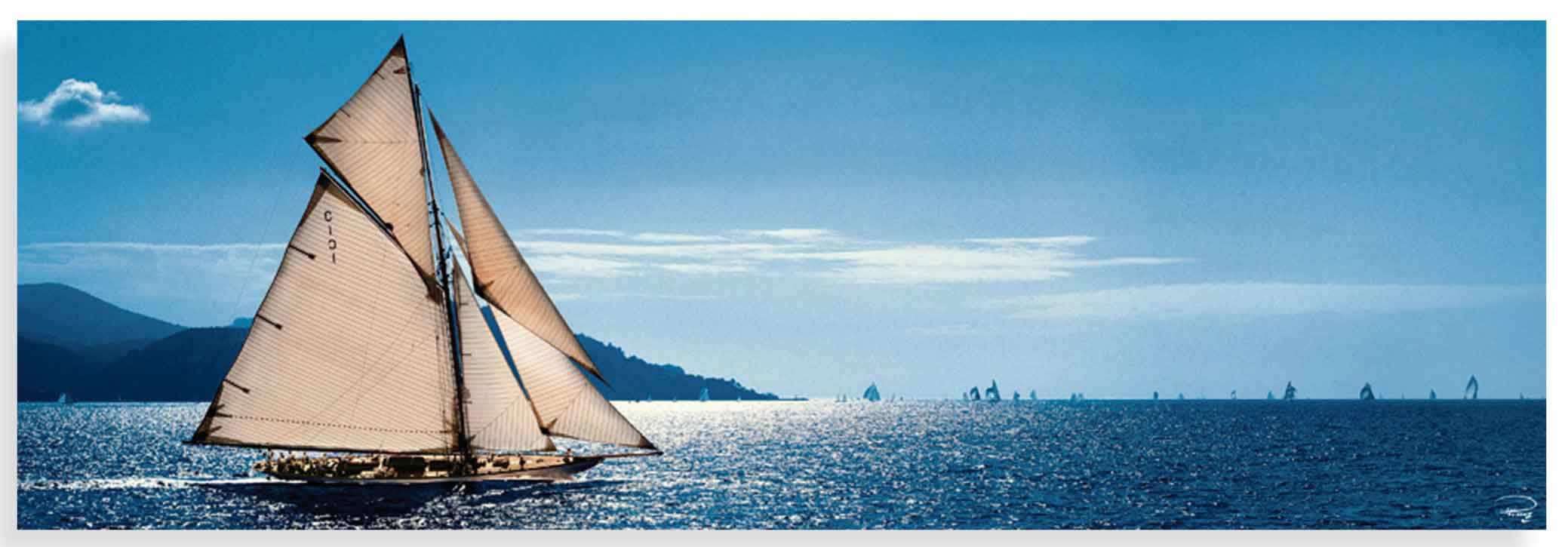 FP04022 Glass Art Mariquita 40x120cm (3)