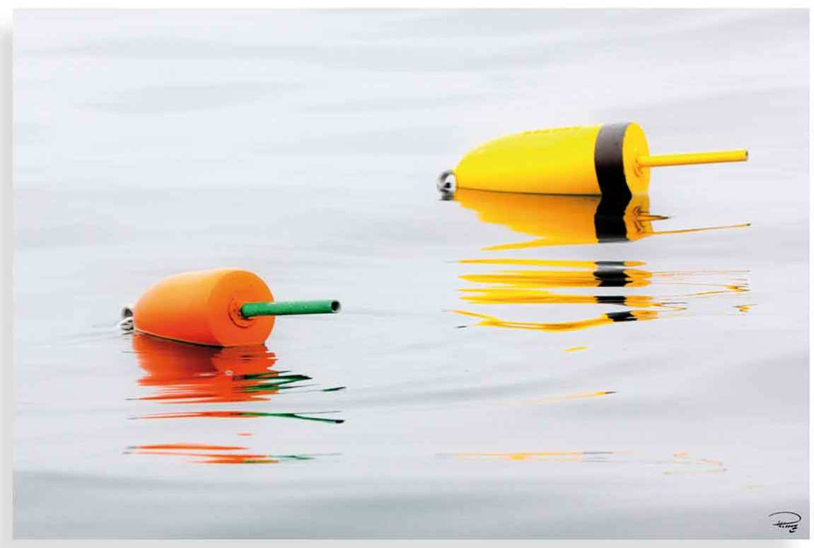 FP04046 Glass Art Lobster Bouy pair 40x60cm (6)