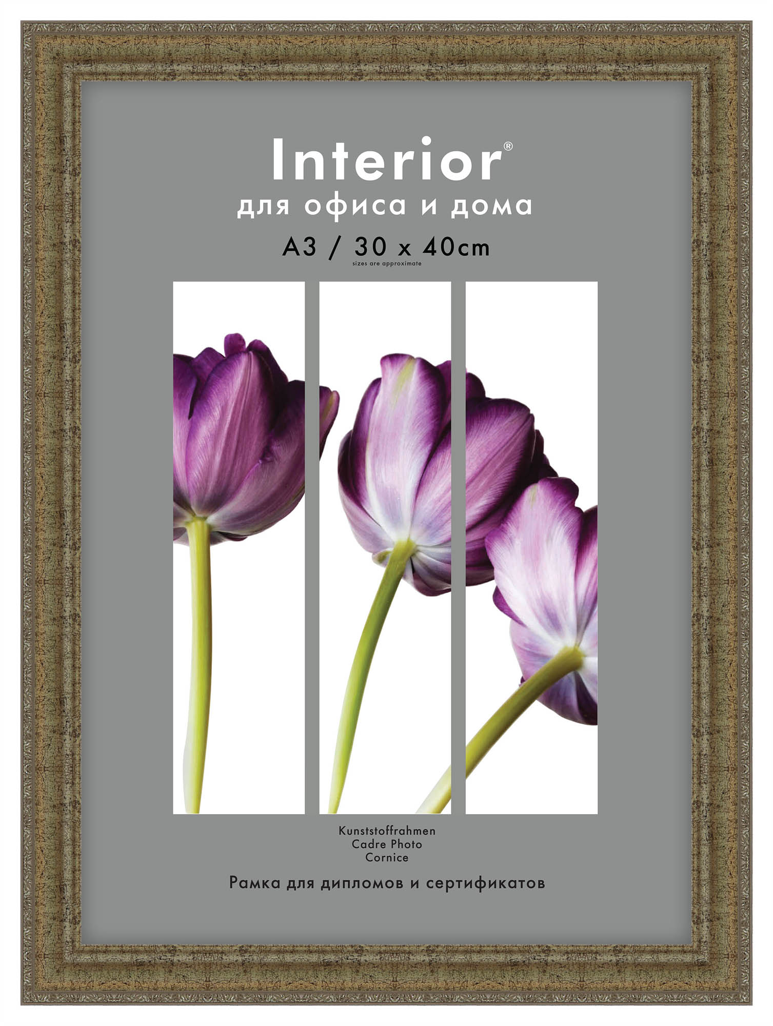 Interior 321G-12 30х40 пластик, серебро с перлам. с серебр.кантом (14)