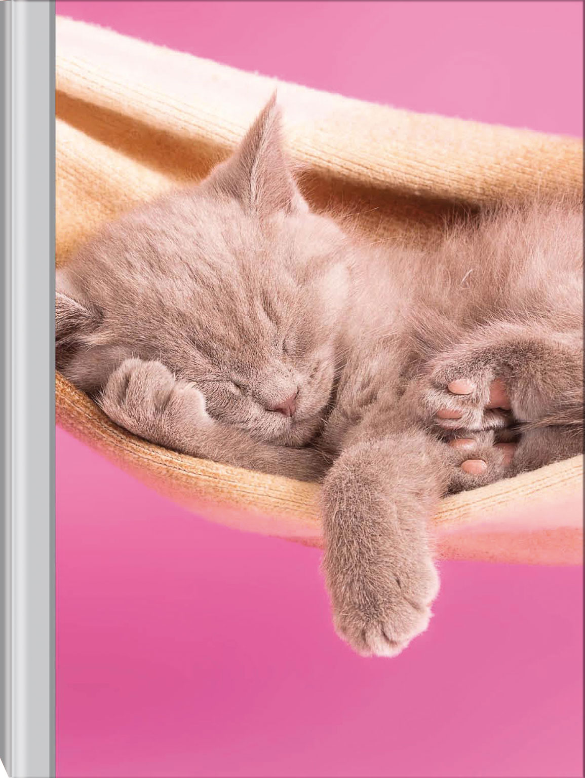 Q6903687 Ф/альбом 100 фото 10*15 Mini Pet Cuties (12)