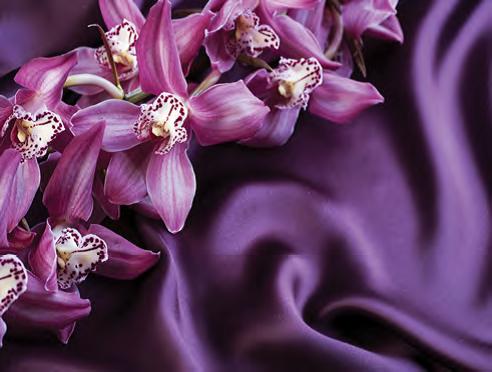 FP02839 Glass Art Violet Silk 60x80cm (3)