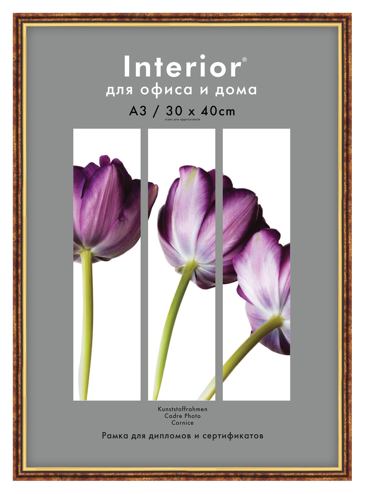 Interior Office 580/1 30*40 латунь (20 шт.)