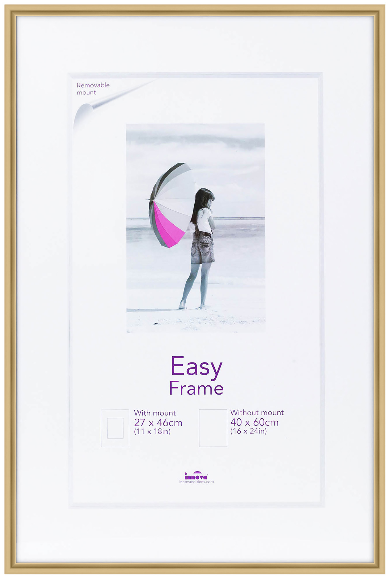 New 2014 PK04132GO Ф/рамка 40*60 Easy золото (10)