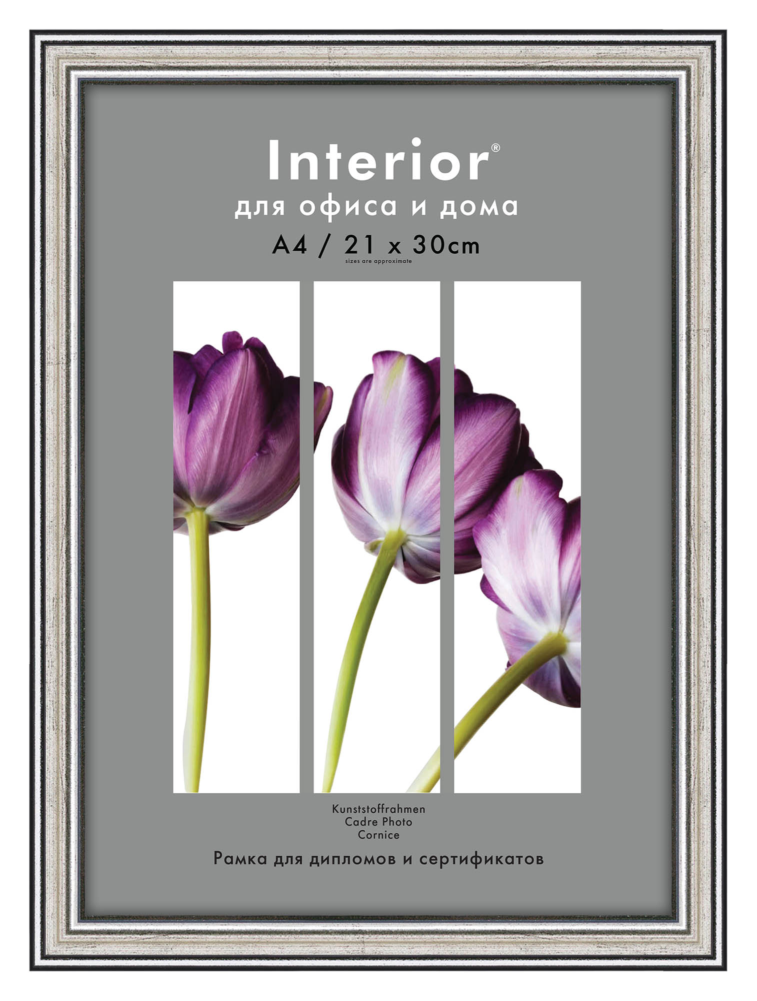 Interior Office 290 21*30 серебро (23 шт.)