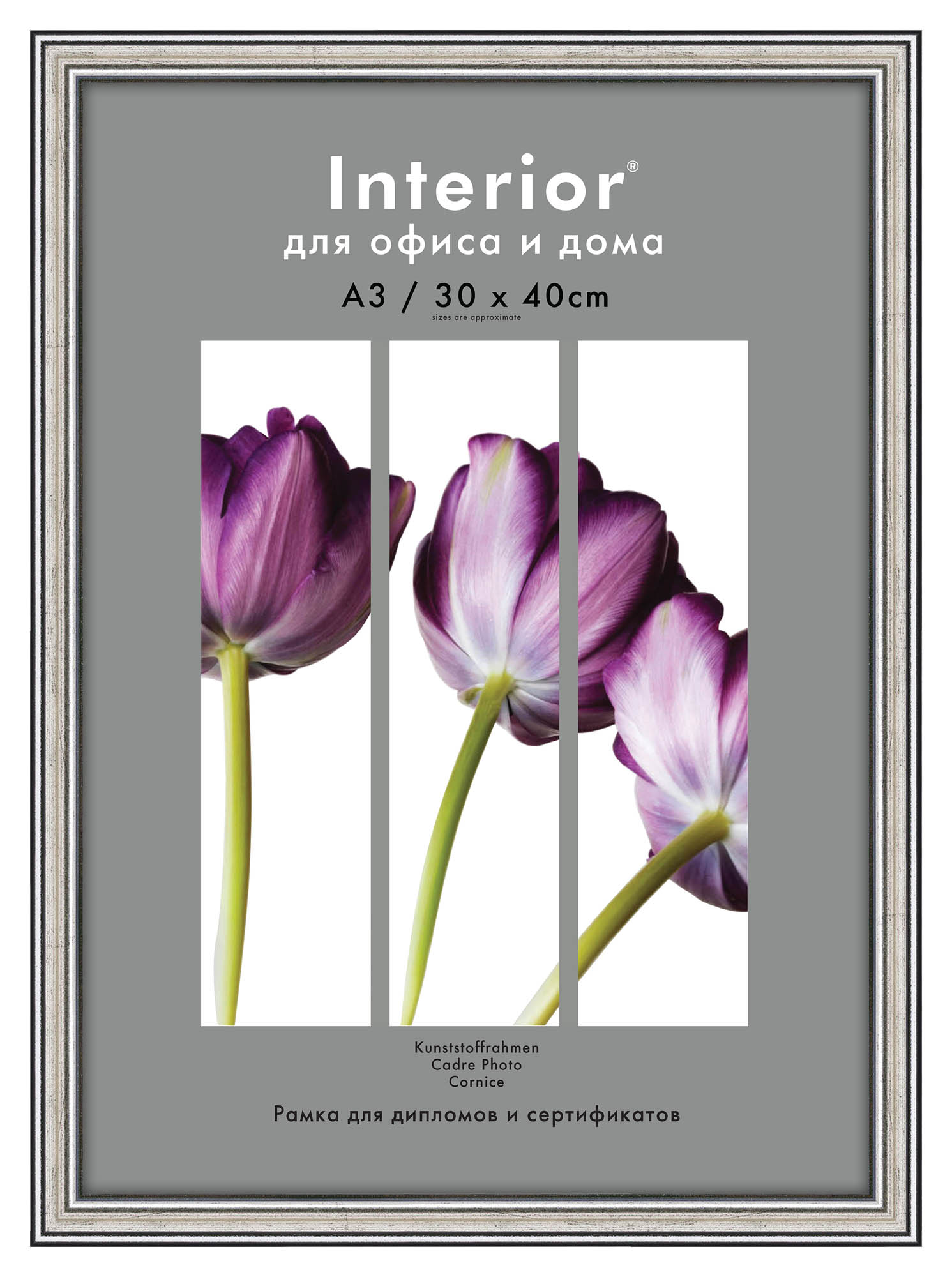 Interior Office 290 30*40 серебро (22 шт.)