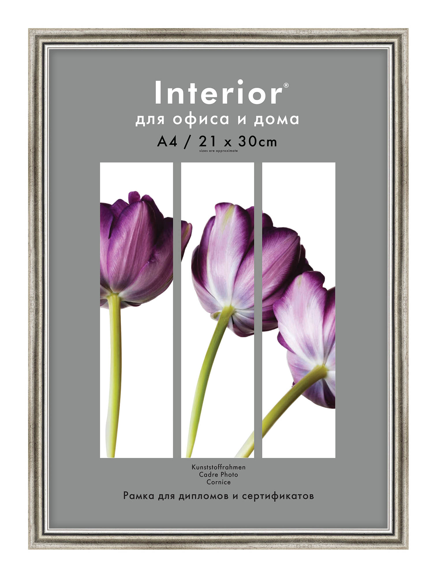 Interior Office 590 21*30 серебро (20 шт.)