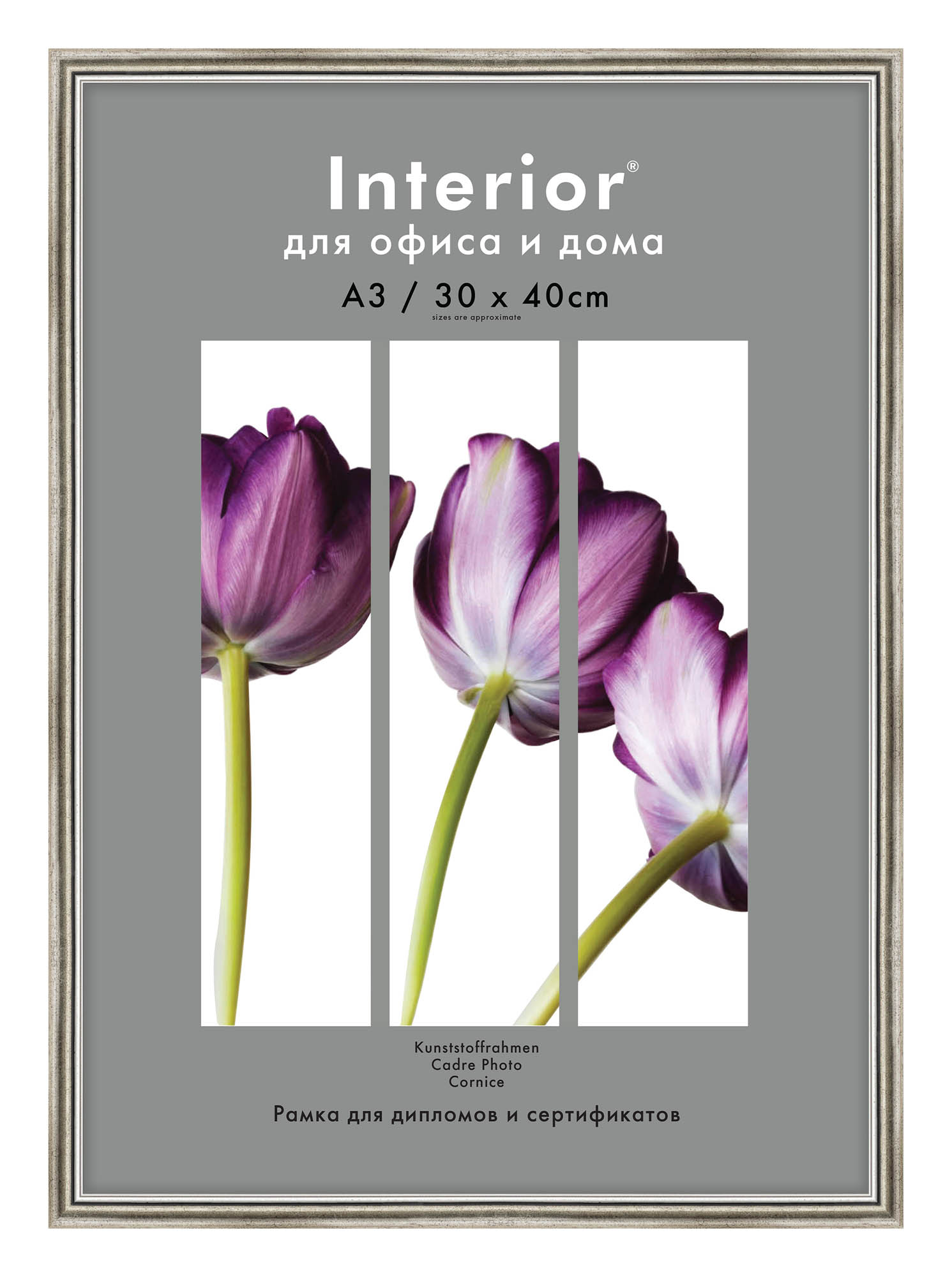 Interior Office 590 30*40 серебро (20 шт.)