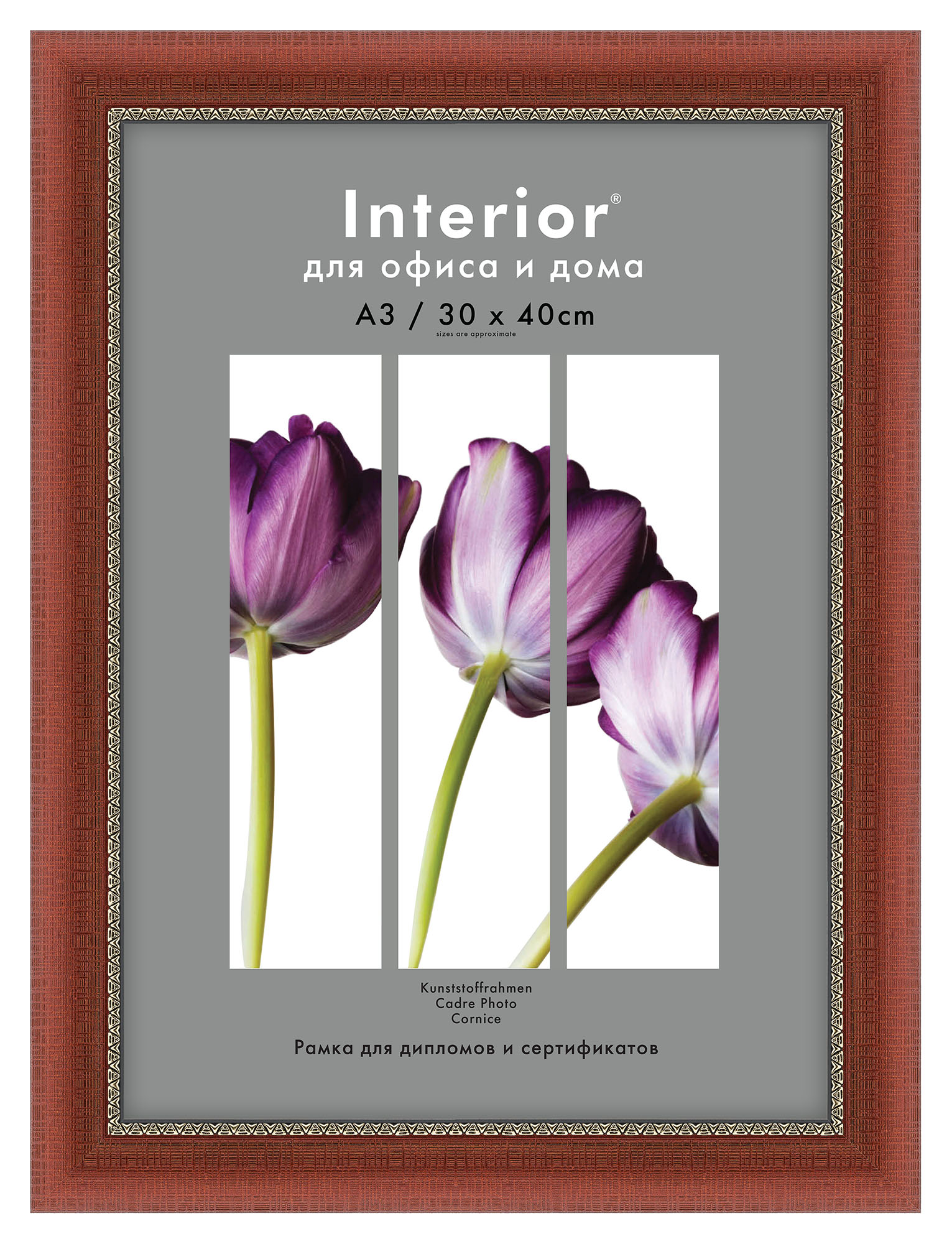 Interior 157G-12 30х40 пластик, широкая коричн. риф. с зол. кантом