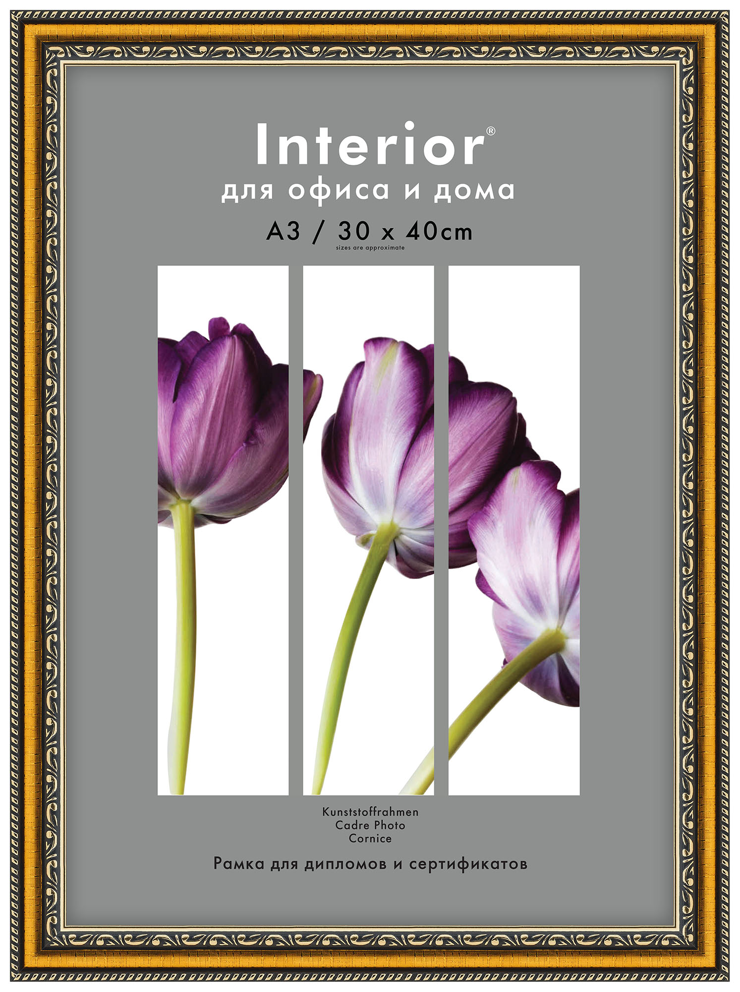 Interior 147G-12 30x40 пластик, золото с 2 золот.кантами (26)