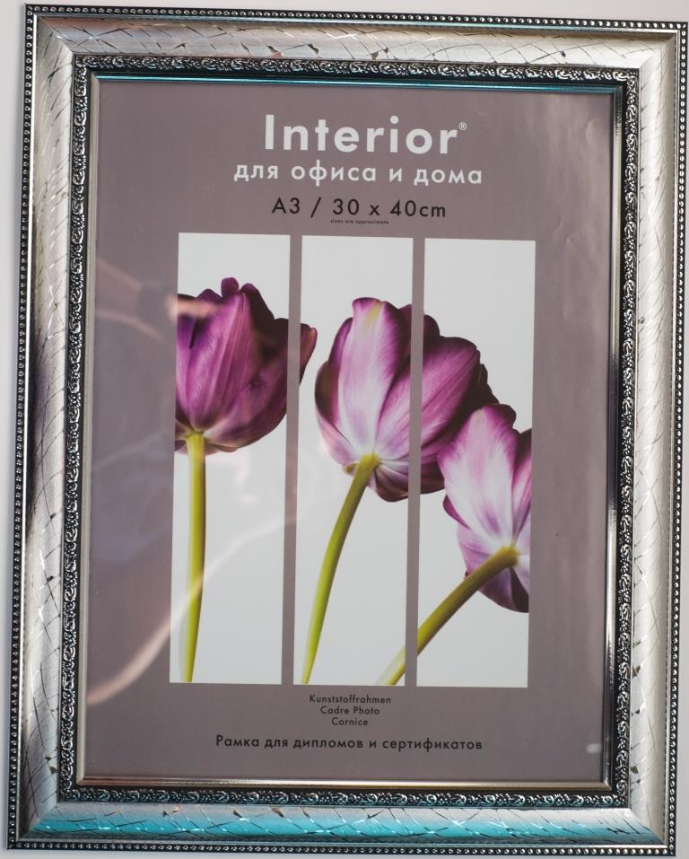 Interior 158G-12 30х40 пластик, широкая серебро с 2 сер. кантами