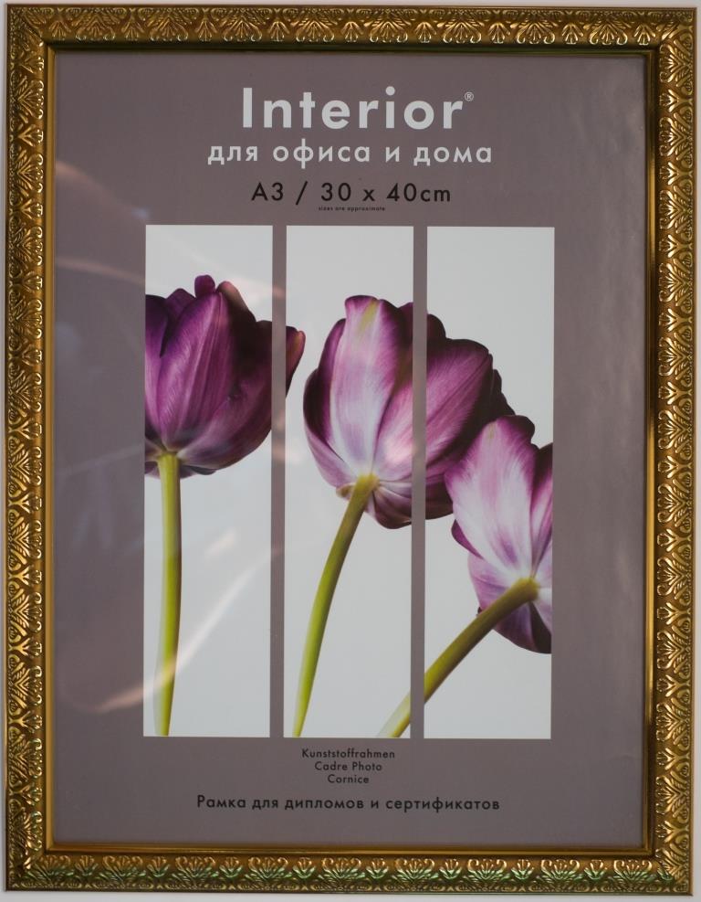 Ф/рамка Interior Perfect 161G-12 30х40 пластик (26)
