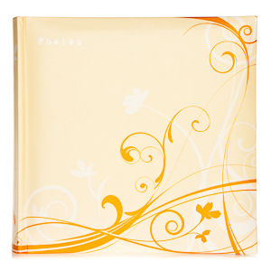 Image Art 20078 IA -200BB Нейтральная 10*15 (12/360)