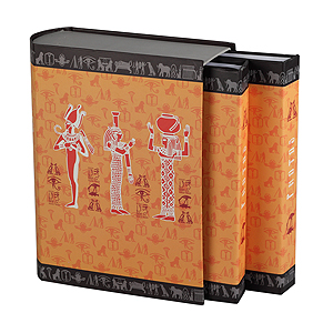 Image Art 24089 IA -240PP Путешествие 10*15 в кейсе (6/168)