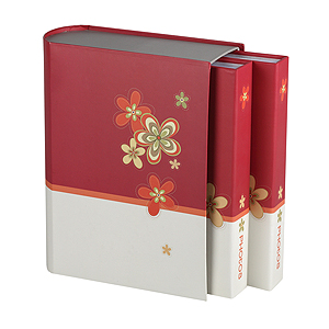 Image Art 24095 IA -240PP Цветы 10*15 в кейсе (6/168)