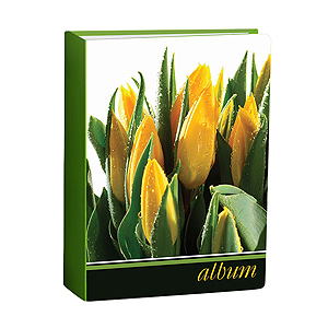 Image Art 005 IA -100PP цветы (24/864)