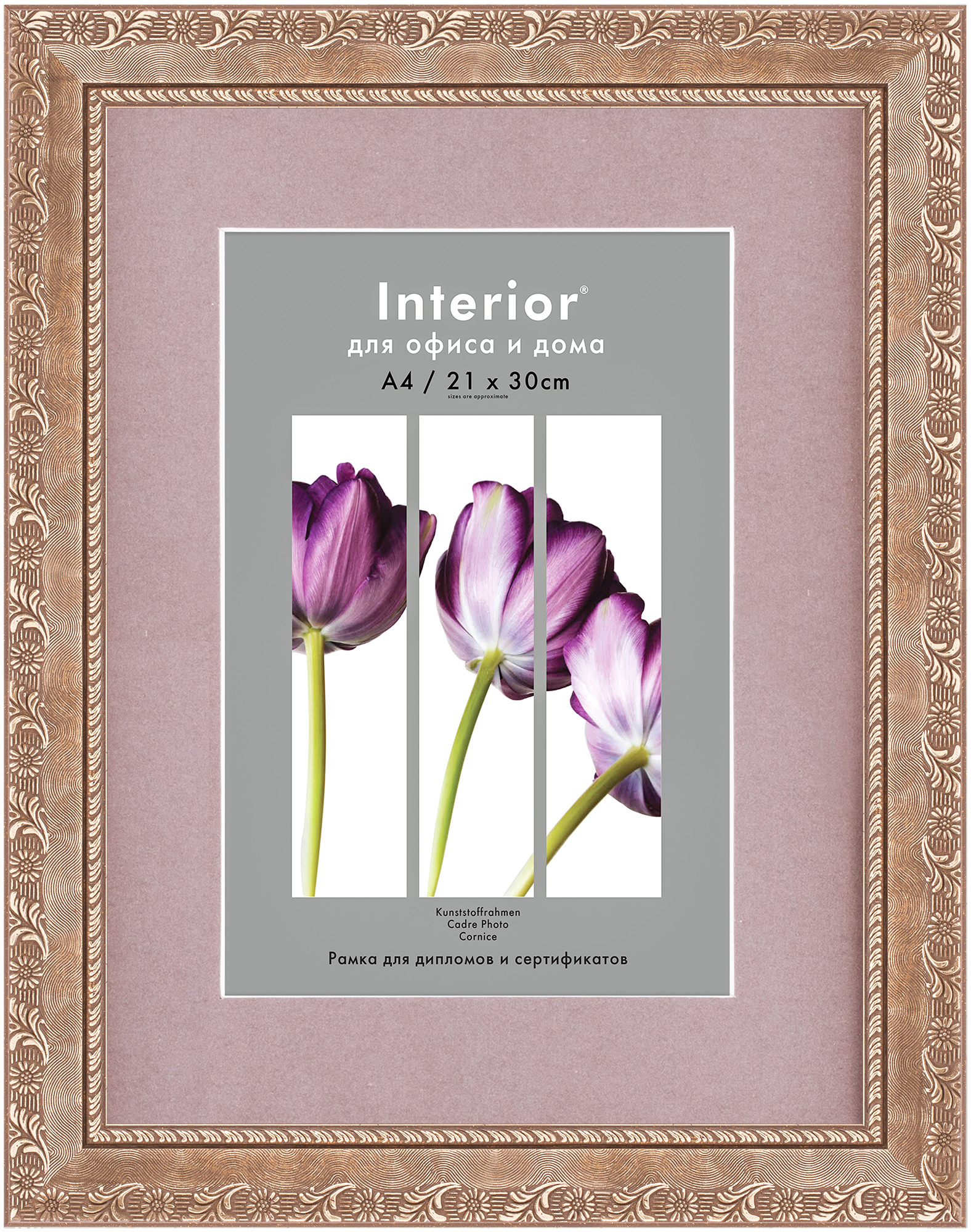 ORNATE 30*40 c паспарту 21*30 Montana Gold (10)