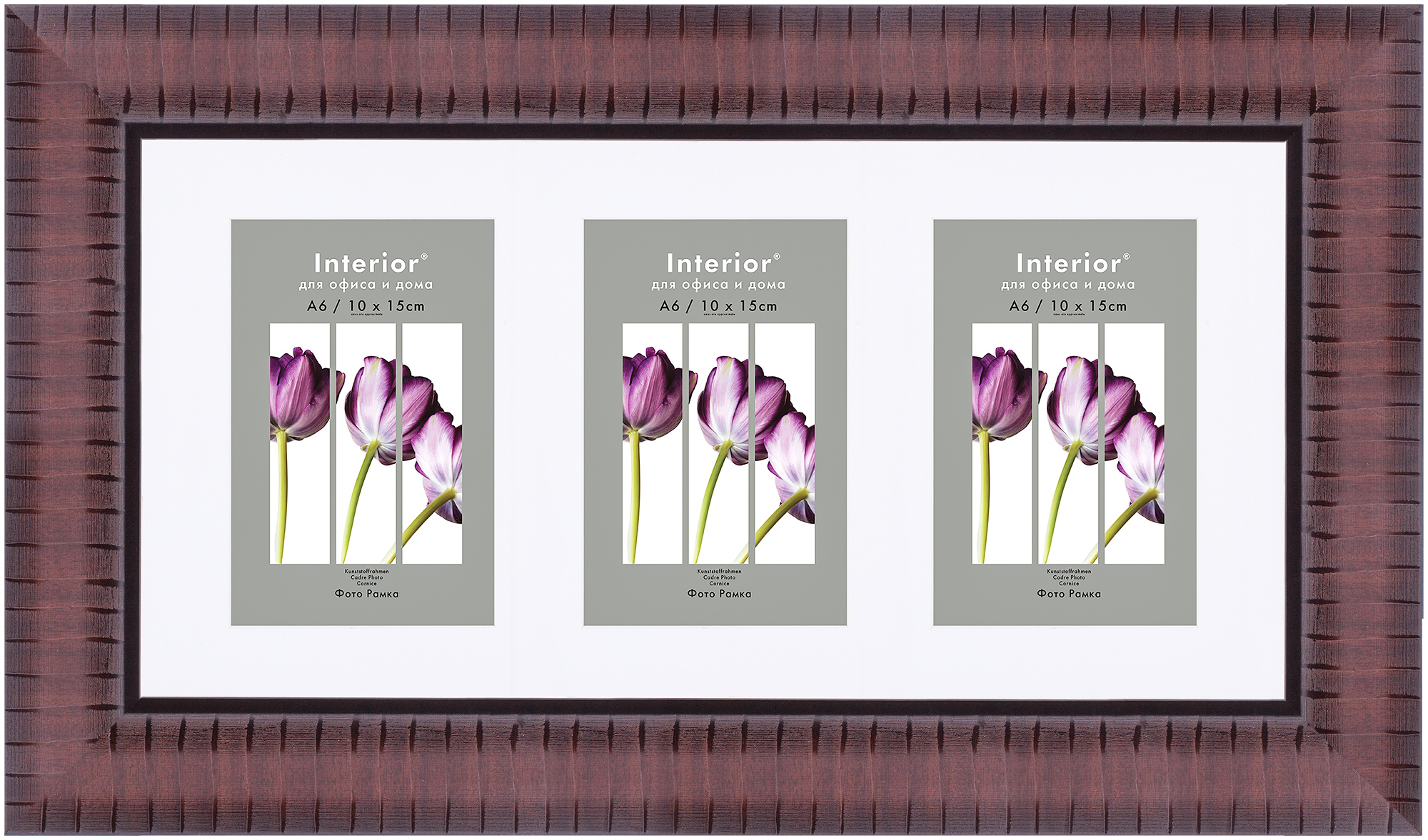 ORNATE 20*40 c паспарту 10*15 Vermont Brown (Multi) (12)