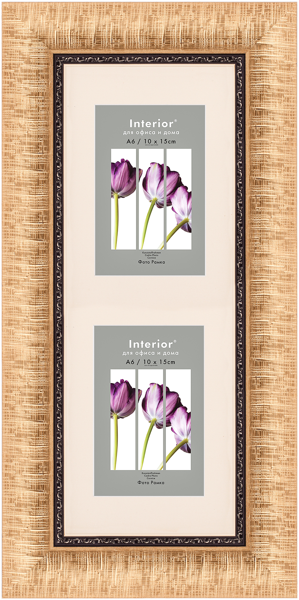 ORNATE 15*40 c паспарту 10*15 Kansas Gold (Multi) (10)