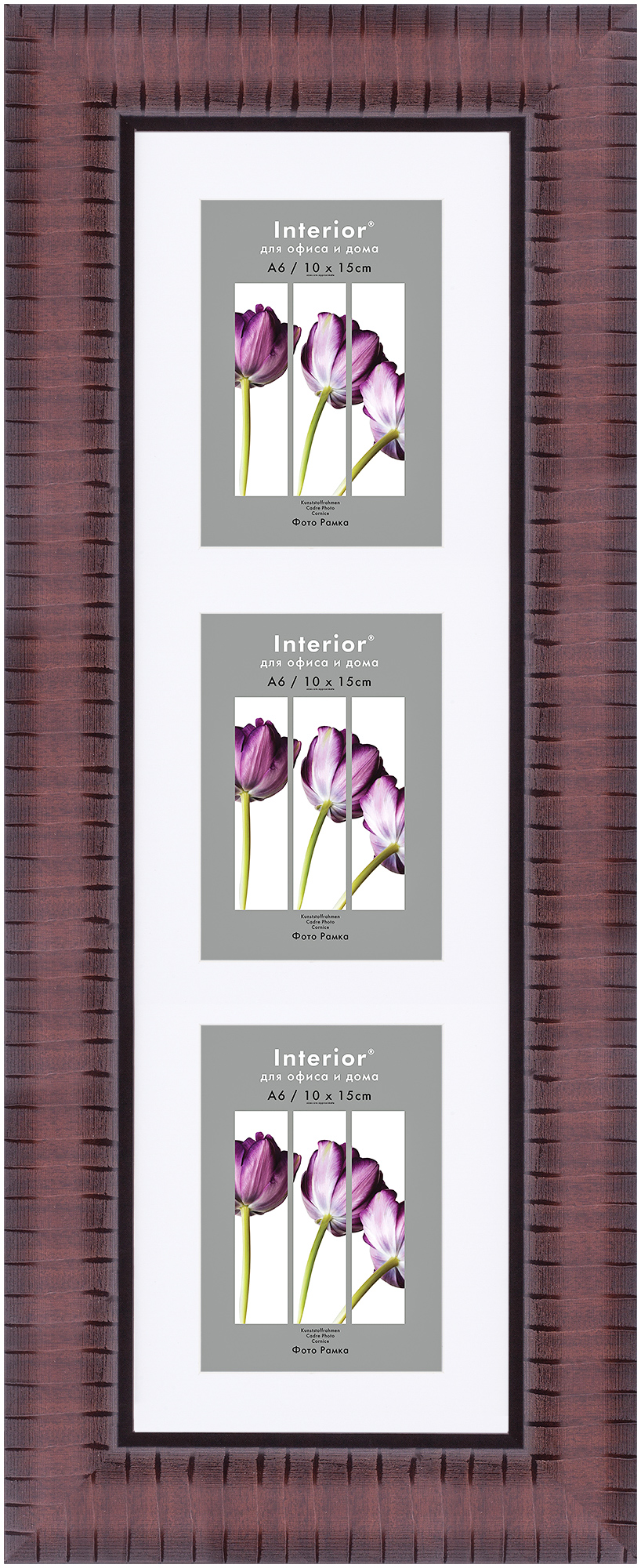 ORNATE 15*50 c паспарту 10*15 Vermont Brown (Multi) (25)