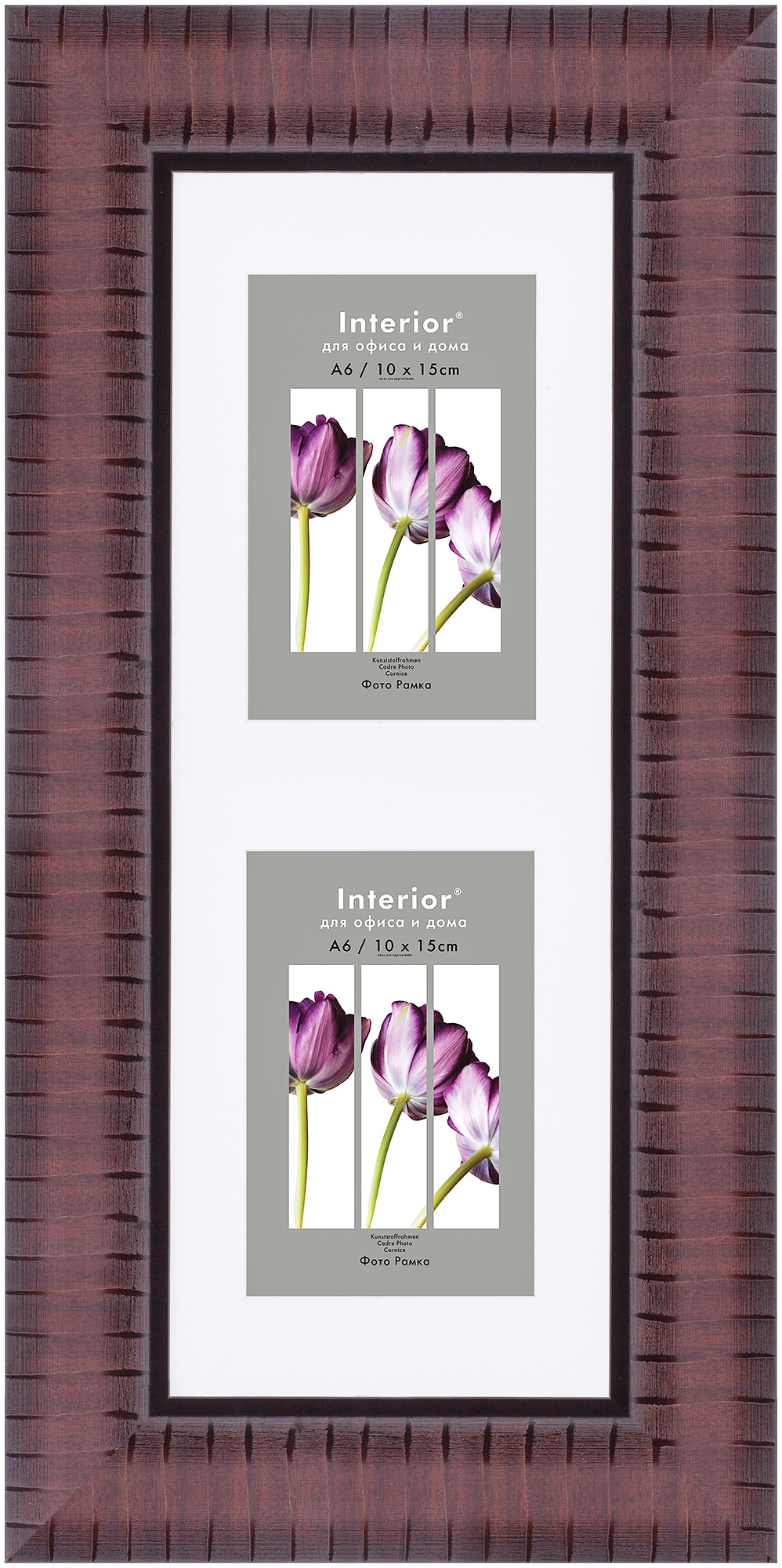 ORNATE 15*40 c паспарту 10*15 Vermont Brown (Multi) (10)