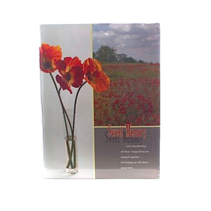 Climax 200 фото PB 46200 M МЕМО (12/360)