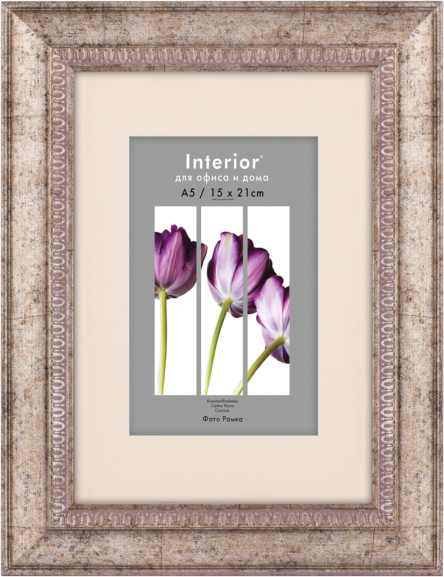 ORNATE 21*30 с паспарту 15*21 Indiana Silver (14)