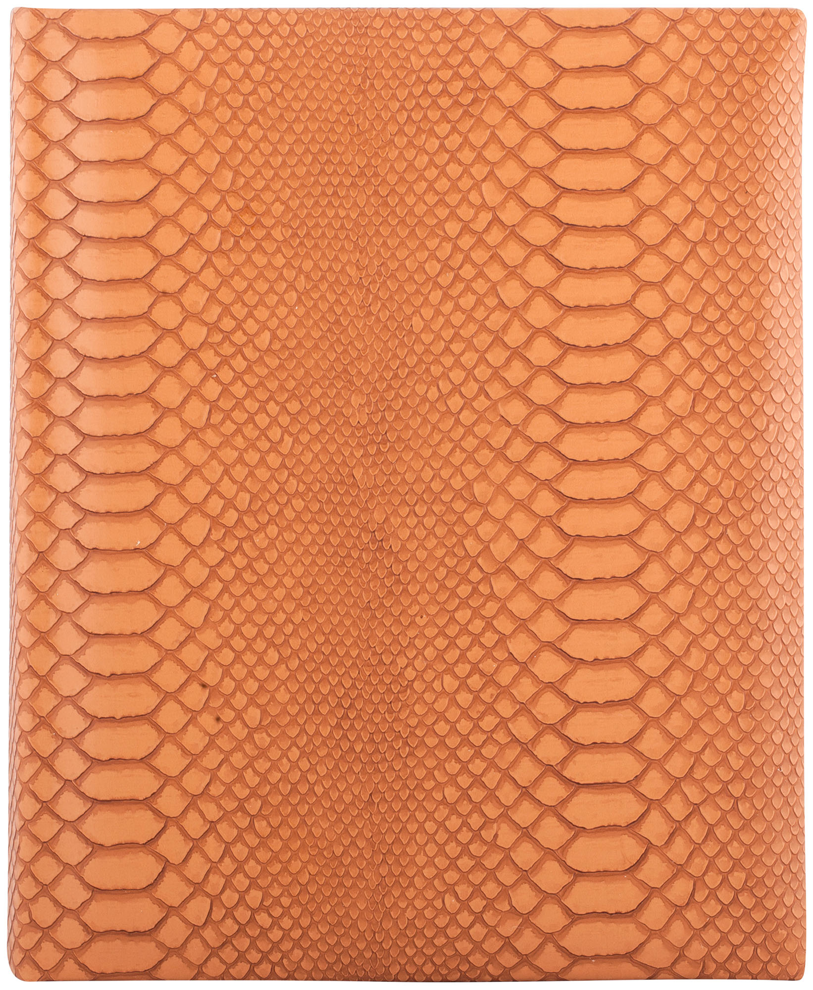 Ф/альбом IA -100 15x21 (BBM68100/1) серия 072 (12)"