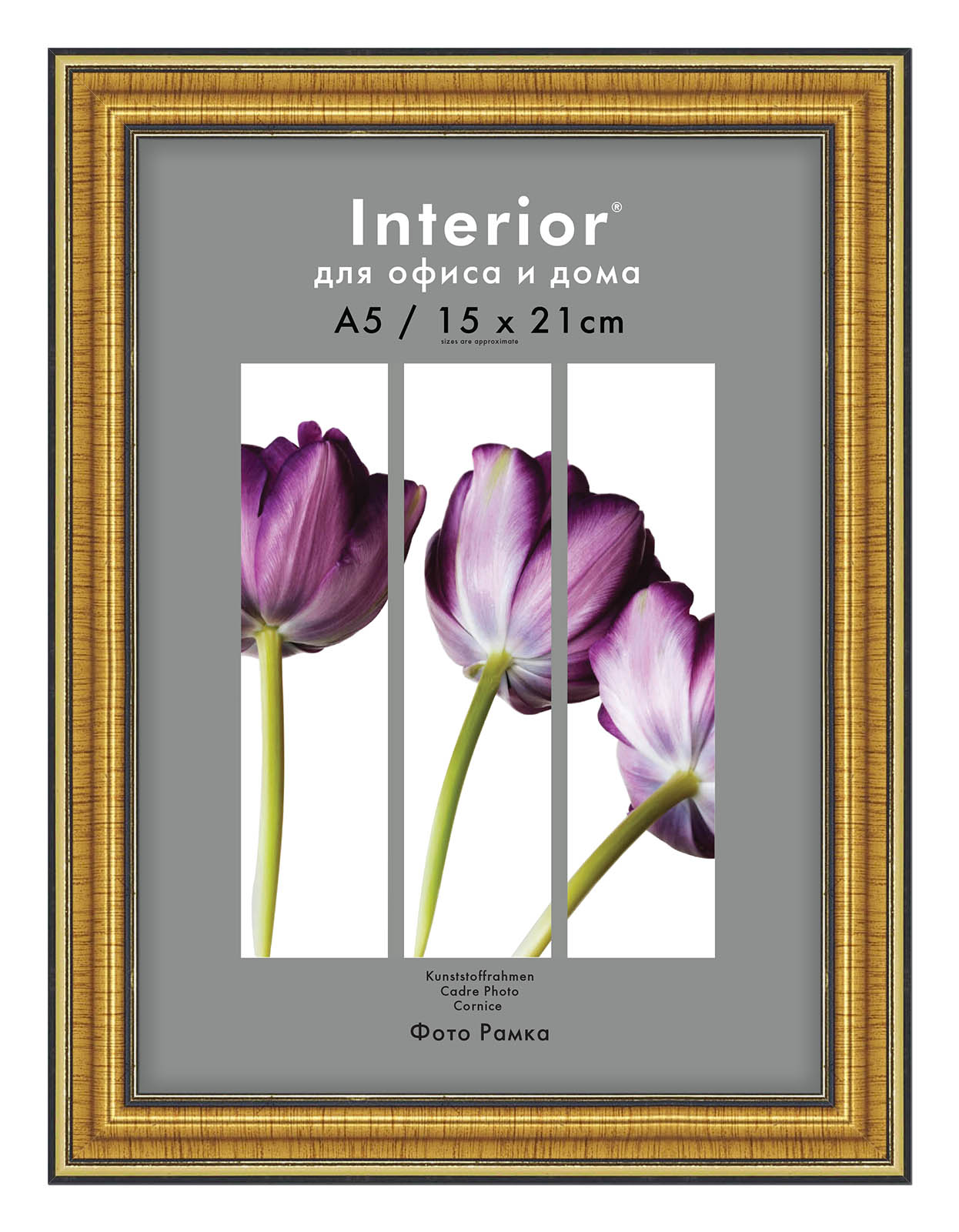 Interior Office 286 15*21 золото (22 шт.)