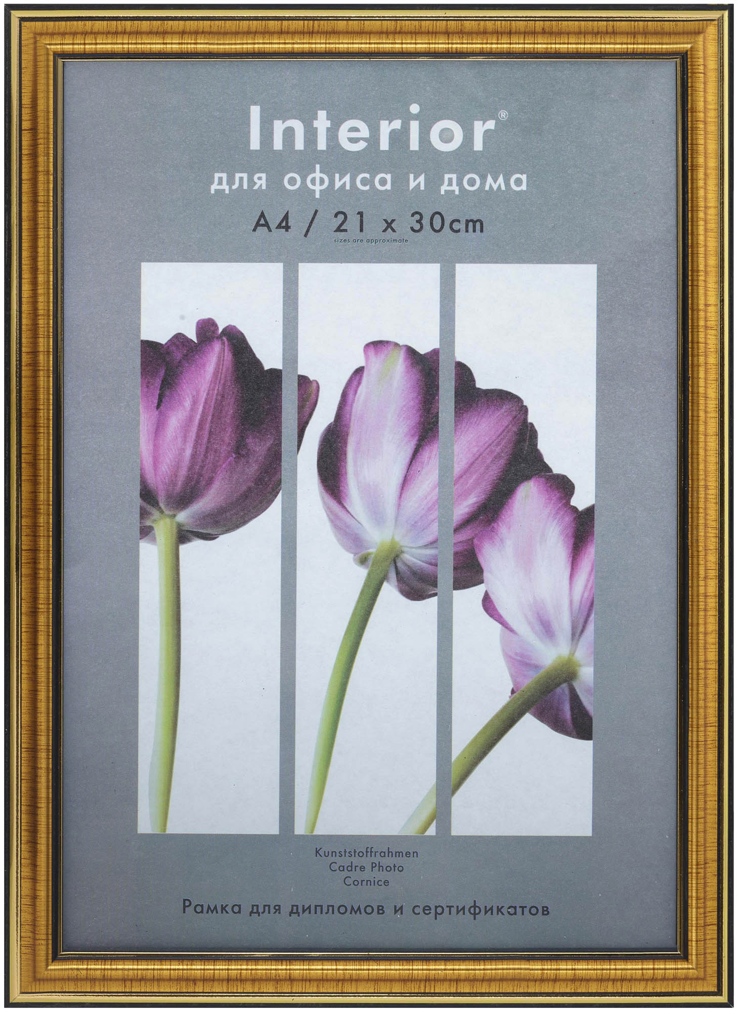 Interior Office 286 21*30 золото (23 шт.)