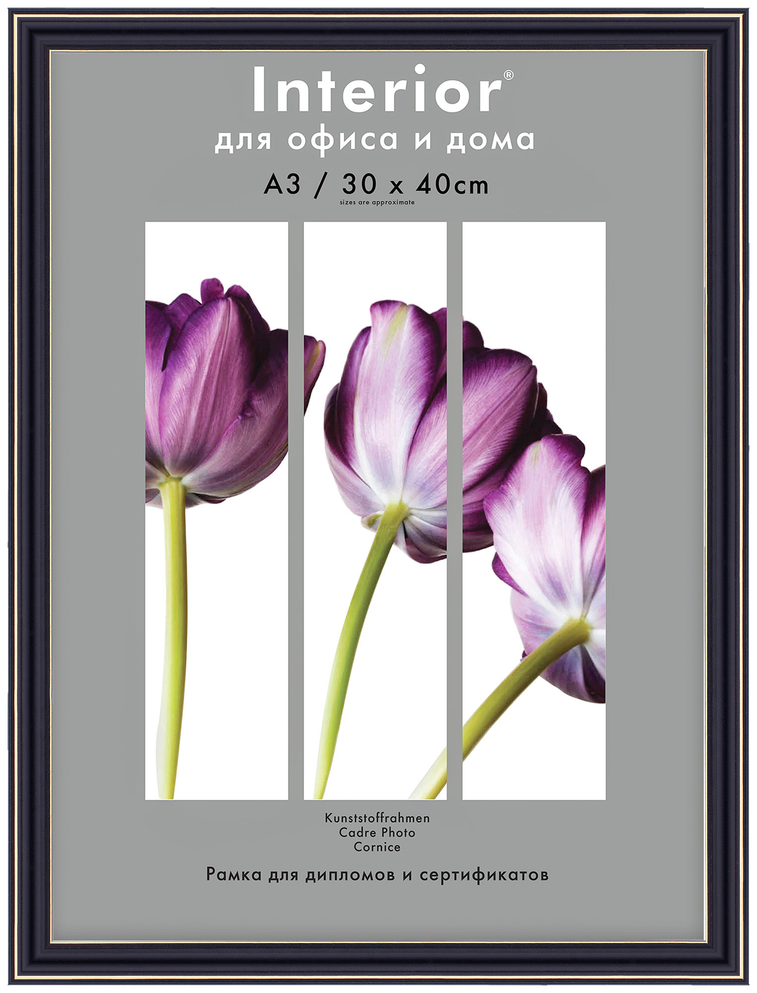 Interior Office 289 30*40 черный (22 шт.)